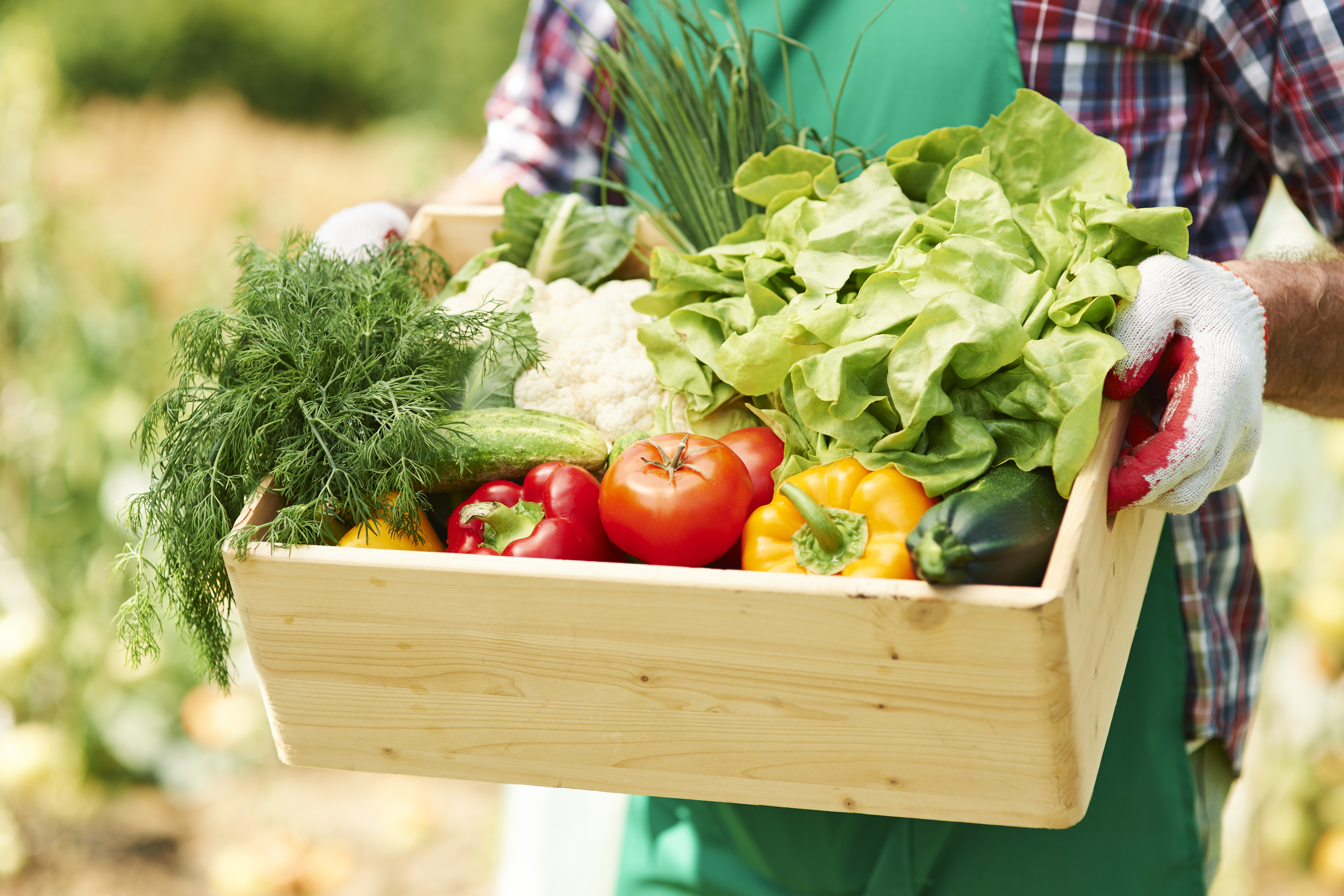Local farms